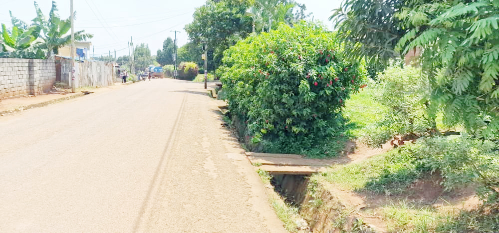 WhatsApp Image 2025-07-29 at 13.32.45.jpg